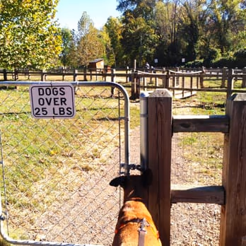 Dog Park at Azalea Park